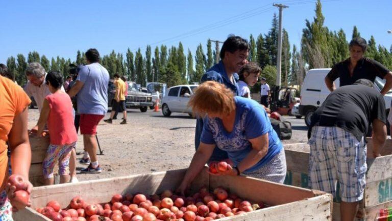 Chacareros regalarán manzanas en Cipolletti. Archivo.