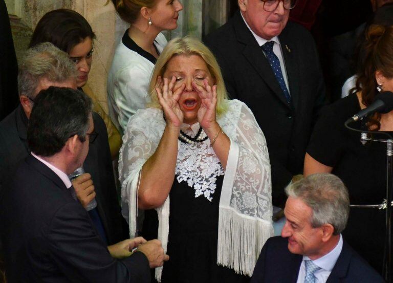 Elisa Carrió, a los gritos. (Federico López Claro)