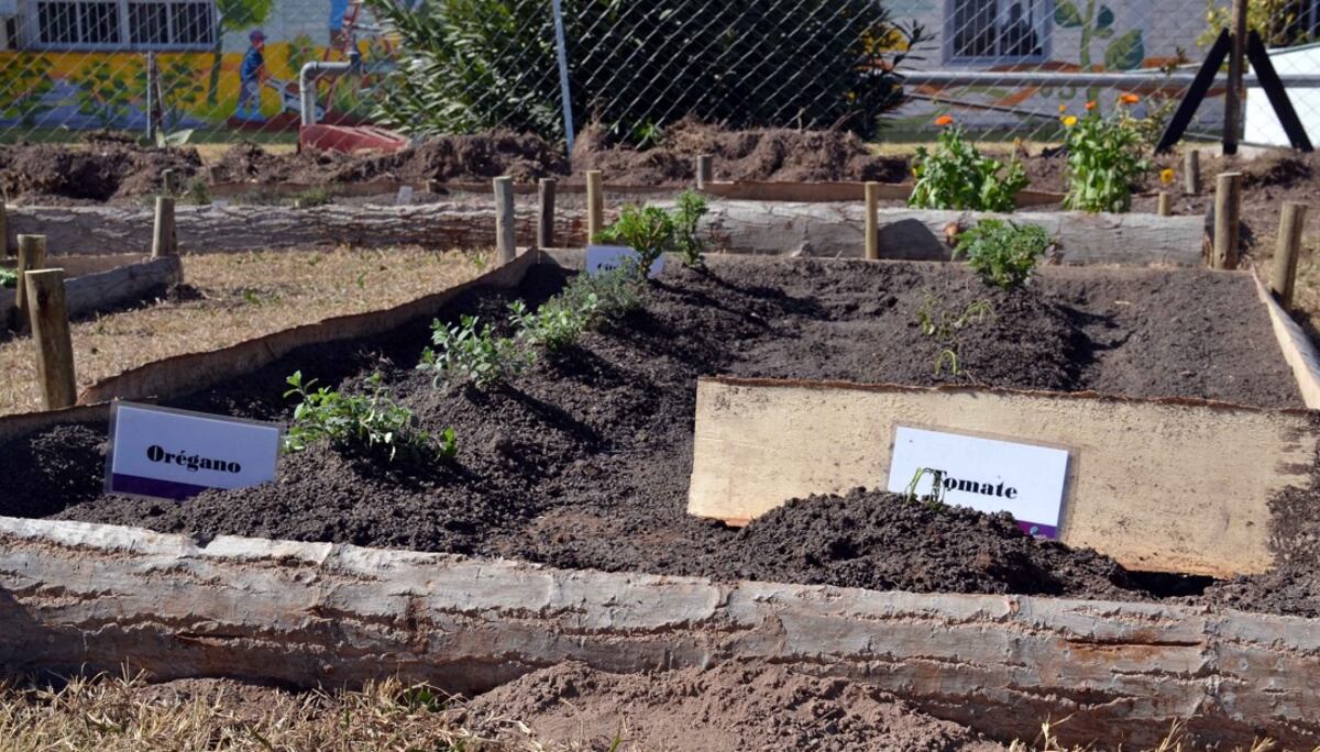 Entregan semillas para huertas agroecológicas en Guaymallén