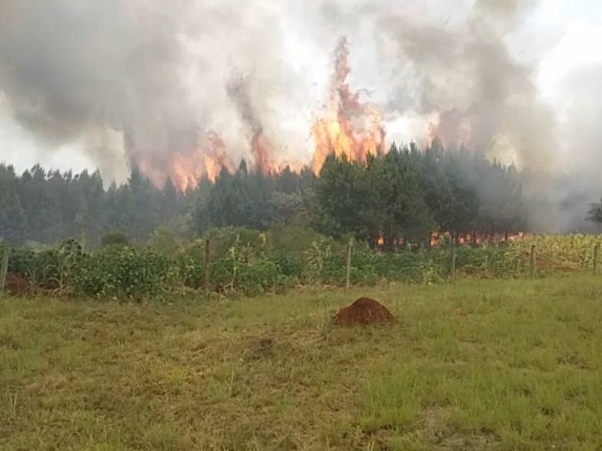 La provincia de Misiones se encuentra nuevamente con alto riesgo de incendios