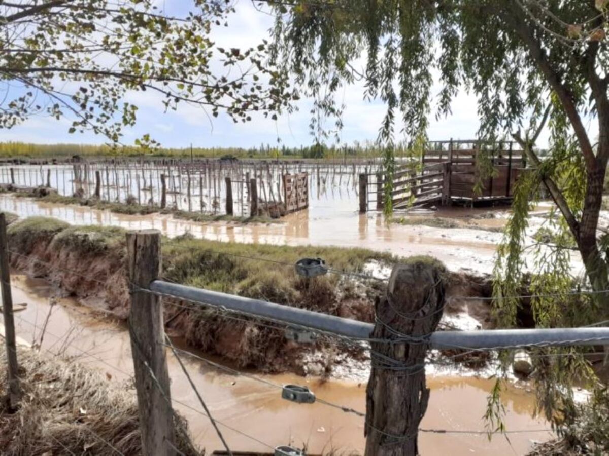 Reunión de funcionarios de Economía y ganaderos de San Rafael por las pérdidas que dejó la tormenta