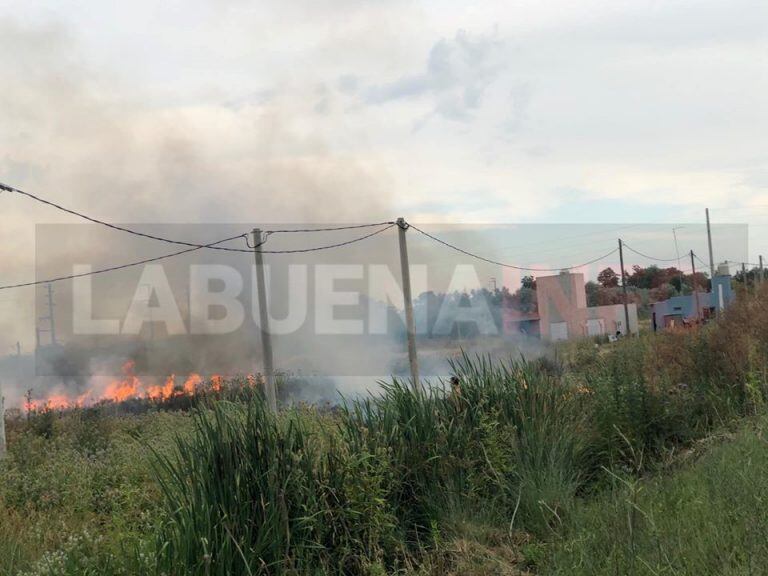 Debido a las altas temperaturas las llamas tomaron fuerza (web).