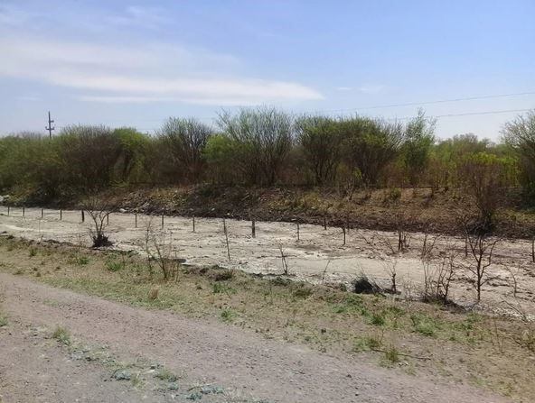 El río que esconde animales muertos, olor fétido y una ruta hundida