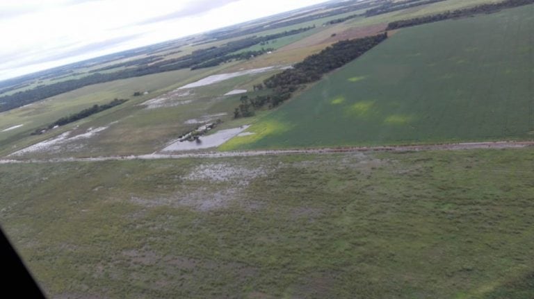 Los campos chaqueños se encuentran muy afectados por las abundantes lluvias. (Prensa Gobierno provincial)