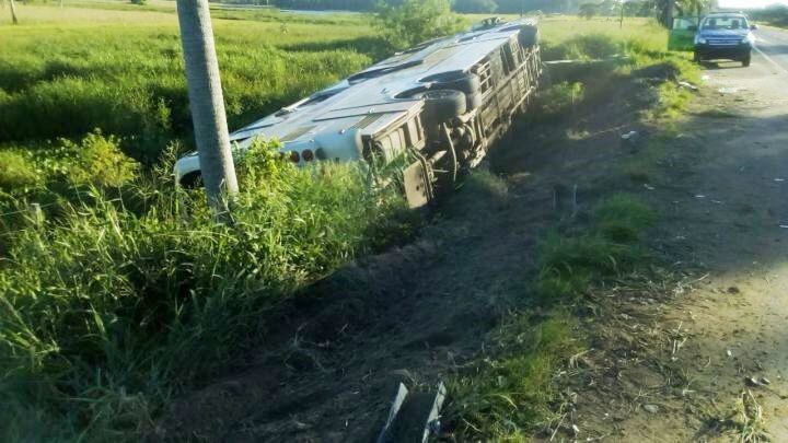 Micro de larga distancia chocó una vaca y volcó. Imagen gentileza Radio Dos.