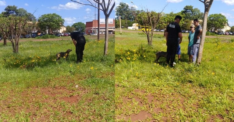 Personal de la Policía y vecinos del lugar rescataron al animal.