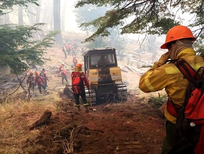 Los brigadistas lograron controlar el incendio del Alto Río Corintio. Lograron proteger 1.200 hectáreas de las 6.700 quemadas.