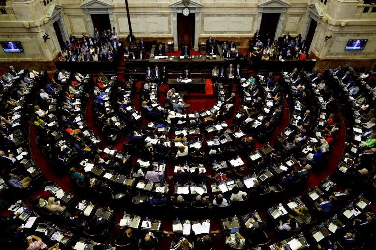 El Congreso durante la exposición de este 12 de febrero. (Foto:REUTERS/Agustin Marcarian)