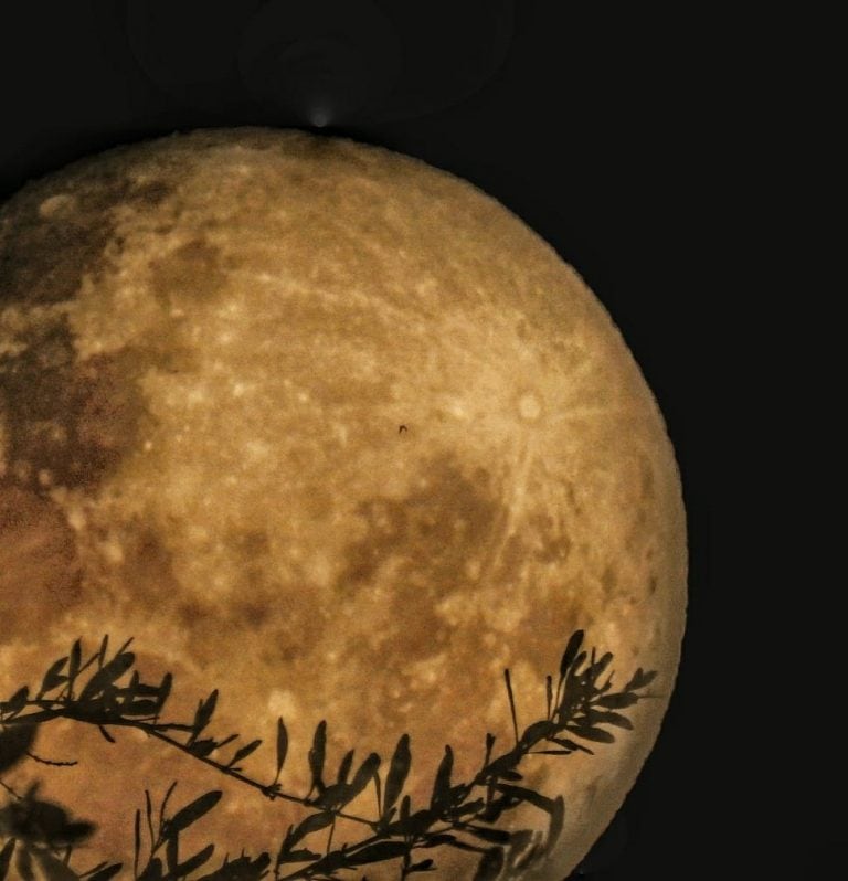 Fotos de la Superluna en Córdoba este lunes 18 de febrero. (Gentileza @marcecandu)