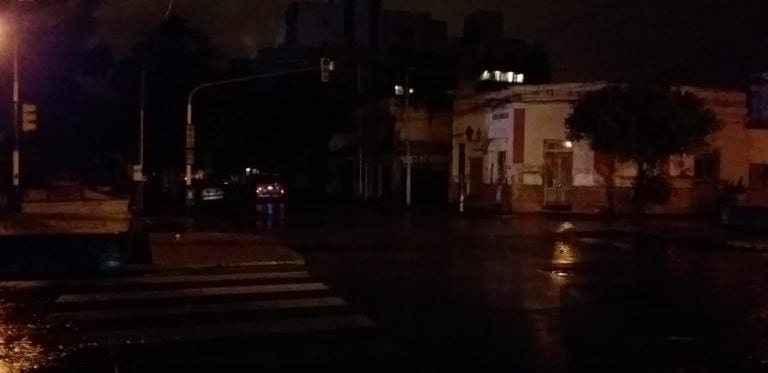 La lluvia provocó la caída de un árbol de gran porte en el centro salteño (Vía Salta)