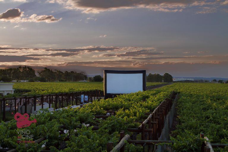 Las bodegas, un lugar privilegiado para ver películas. Foto: Gentileza.