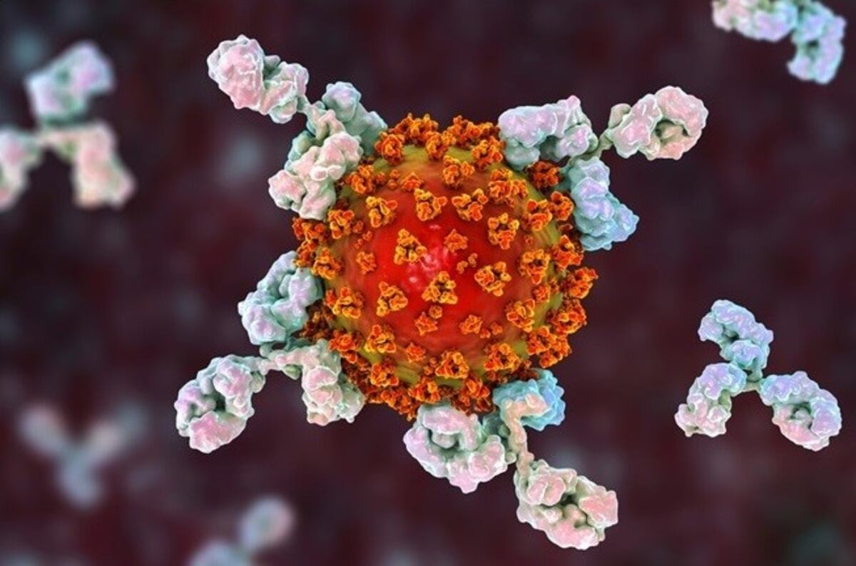 Una semana sin nuevos casos de coronavirus en Mendoza