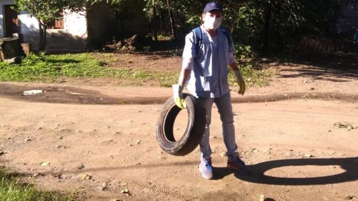 Dengue en Jujuy: prisión de hasta dos años para quienes se nieguen a descacharrar