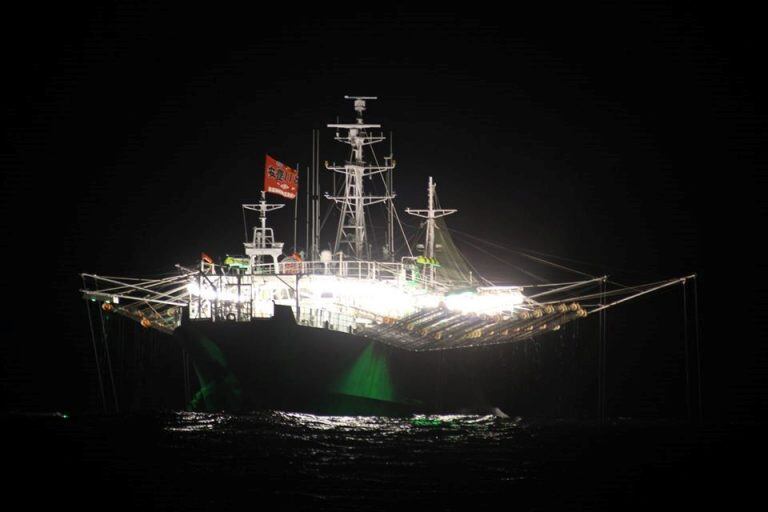 Buque potero de bandera Taiwan pescando en Malvinas.