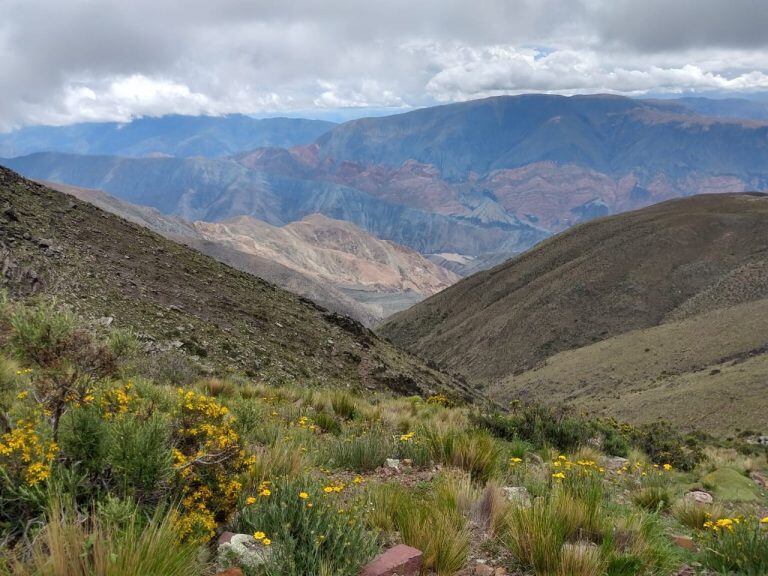 paraje Chorrillo de Campo Quijano.. (Facebook)