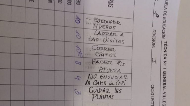 Poli la perrita de General Villegas que va a la escuela, tiene boletín de calificaciones y una de sus dueñas estudia en la UNC.