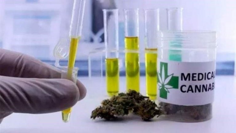 Investigadores platenses analizan los beneficios del aceite de cannabis en perros con epilepsia