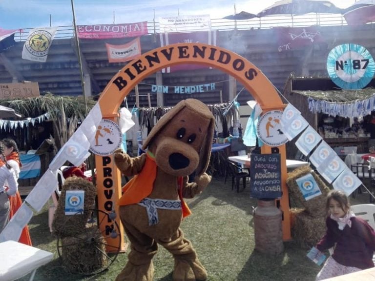 Stand Pro.vo.in 2019
Crédito: Ong Proteccionistas Voluntarios