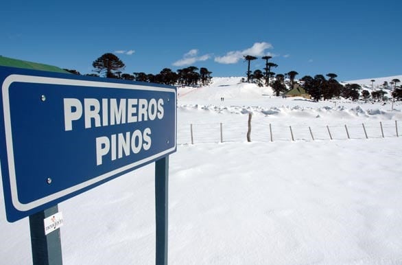 Continúa la búsqueda de dos hombres desaparecidos en la zona de Primeros Pinos.