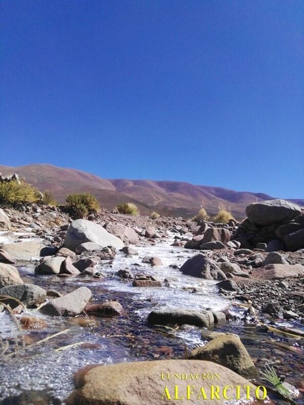 Doña Teodosia Viveros: ejemplo de resiliencia en la Puna salteña. (Fundación Alfarcito)