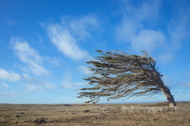 Fuerte viento en Río Grande.