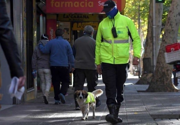 Firulais, el perro callejero que hace seguridad en el trásito mendocino.