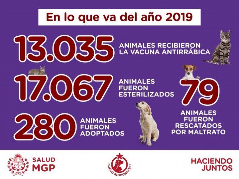 Comunicado MGP con datos de Zoonosis