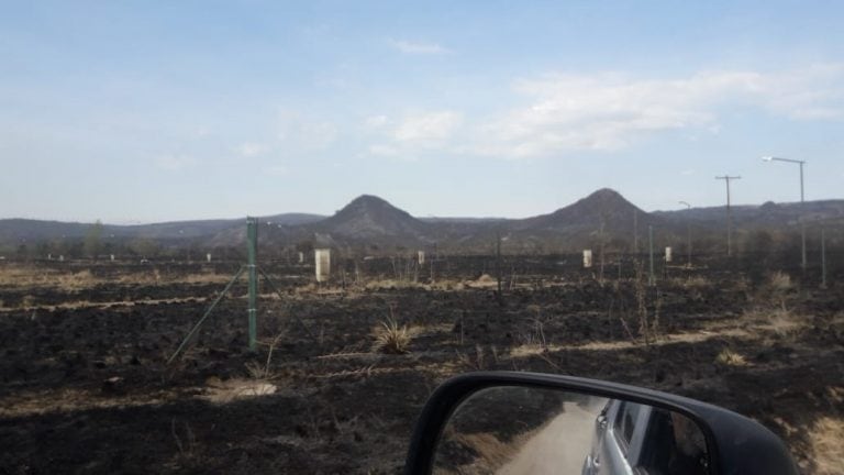 Ayuda de productores