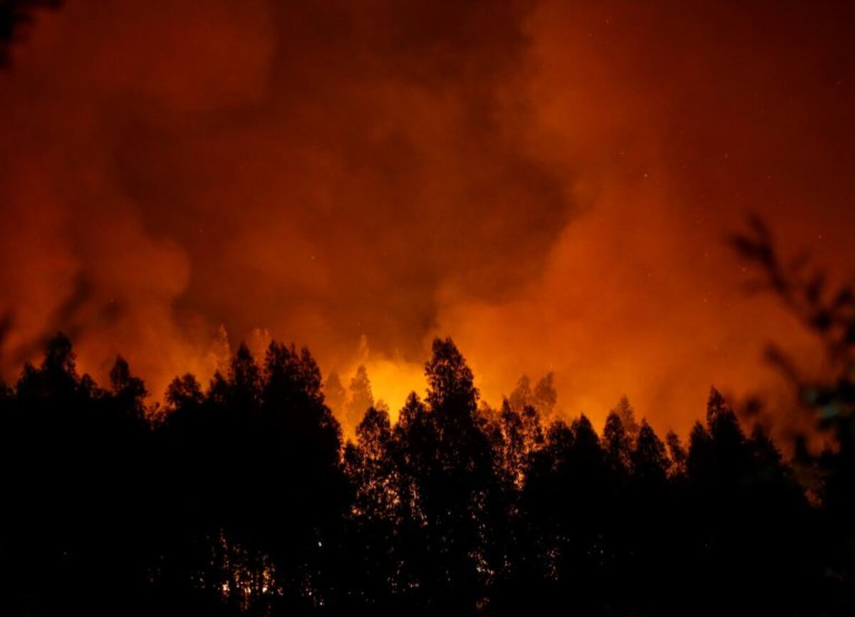 El Gobierno portugués declaró tres días de luto nacional por los incendios