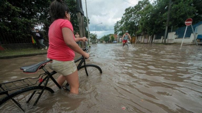 Colecta por las inundaciones (Perfil)