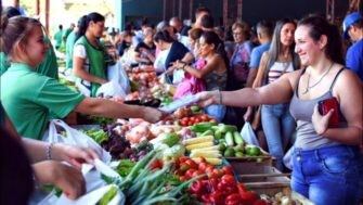 Ferias francas en Misiones con producción de toda la provincia. (Misiones)