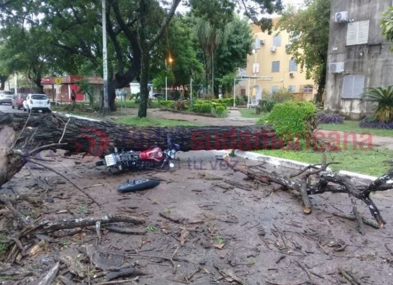 Se arrojó a tiempo de la moto y evitó ser aplastado por un árbol. (Foto: Radio Sudamericana)