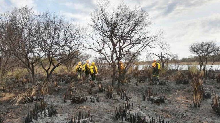 Brigadistas del Parque Nacional Lihué Calel (APN)