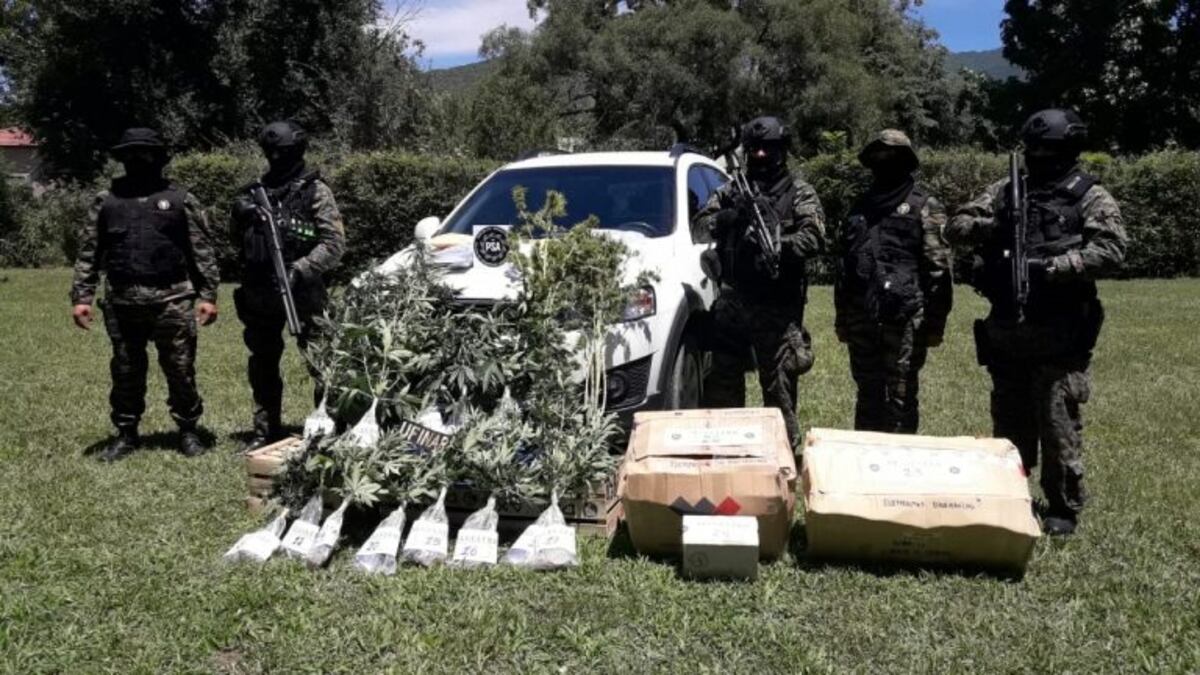 Solicitan la prisión preventiva para los 12 detenidos por microtráfico
