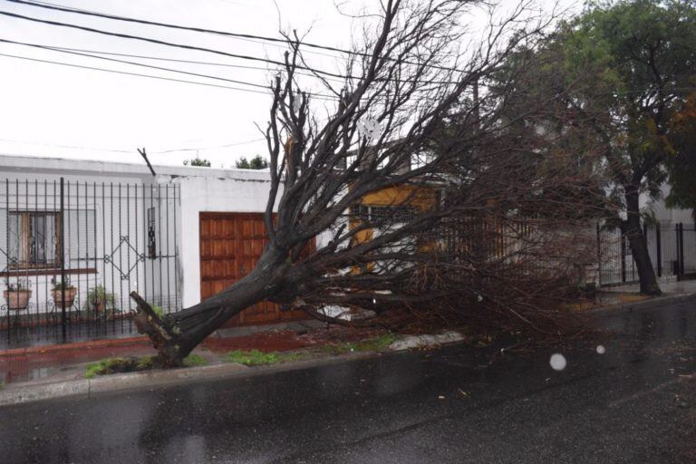 Lo que dejó el temporal en San Luis.