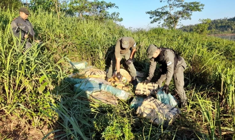 Dejan abandonada marihuana en Colonia Delicia.