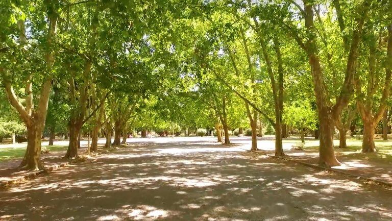 El Parque Domingo F. Sarmiento.