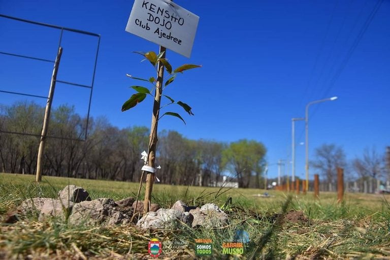 Se plantaron 40 árboles autóctonos. (Foto: Prensa Municipal).