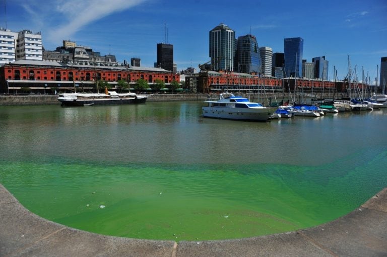 Agua verde en Puerto Madero. (Clarín)