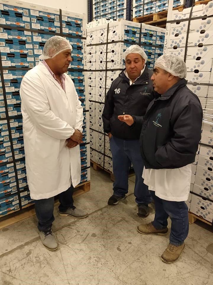 los antiguos exportacion cerezas