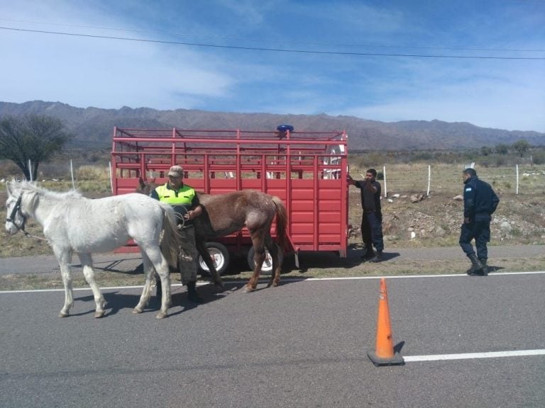 Fue ayer a la tarde, en el kilómetro 30 de la Autopista 25 de Mayo, jurisdicción de la comisaría de Villa de la Quebrada. Foto: Policía de San Luis.