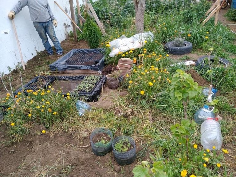 Caleta Inta huerta agroecológica