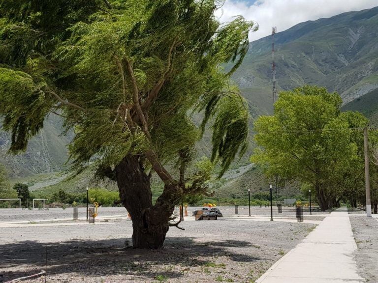 El nuevo Parque Lineal de Volcán se asienta sobre los dos metros de sedimentos que dejó el alud de 2017 en el lado norte del pueblo.