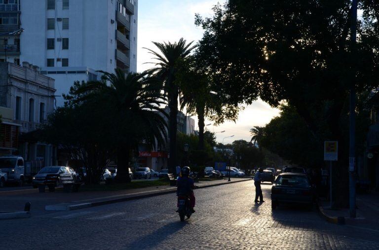 Inicialmente, se buscaba que los canteros estén al mismo nivel que la calle. (Mario Liotta / Todo un palo Producciones)