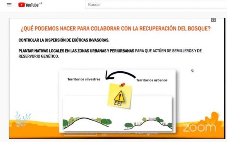 Comenzó el ciclo de talleres virtuales para la reconstrucción del bosque nativo post incendios en Villa Carlos Paz