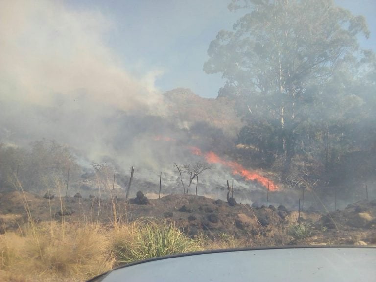 Incendio en La Granja y San Jorge (Gentileza Mas Radio)