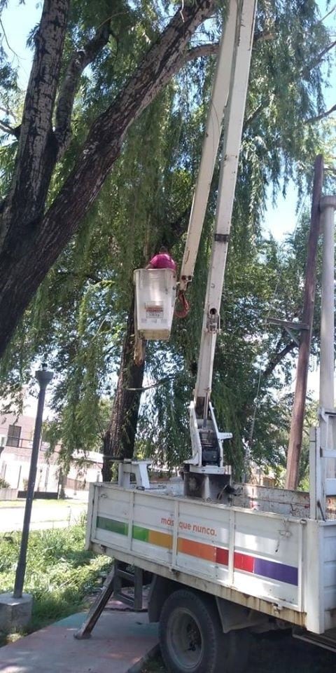 Trabajos de refacción de luminaria