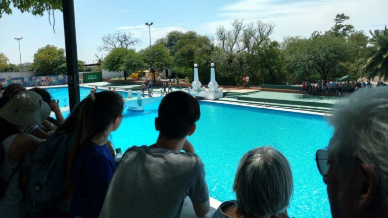 Las imágenes del festejo de los 100 de la pileta del Parque Sarmiento.