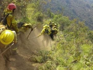 Brigadistas santafesinas trabajando en Chile.