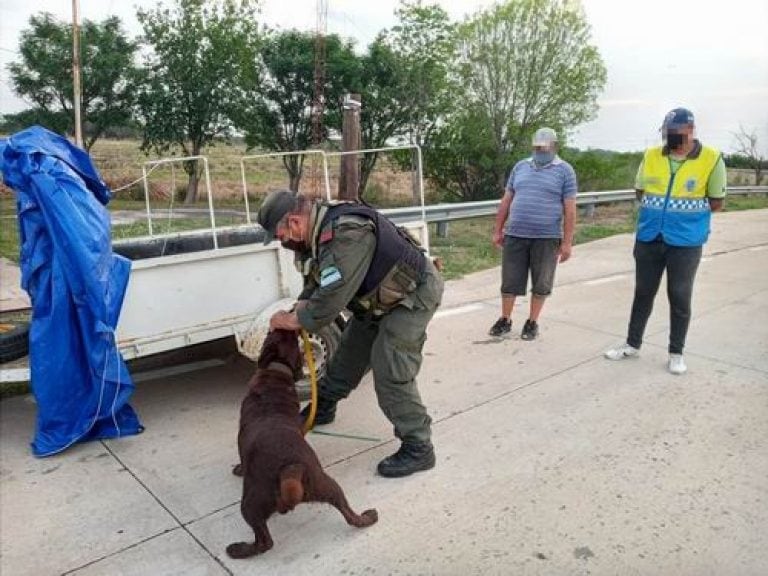 Operativo de Gendarmería Nacional Argentina en Chaco. Incautaron 45 kg de marihuana.